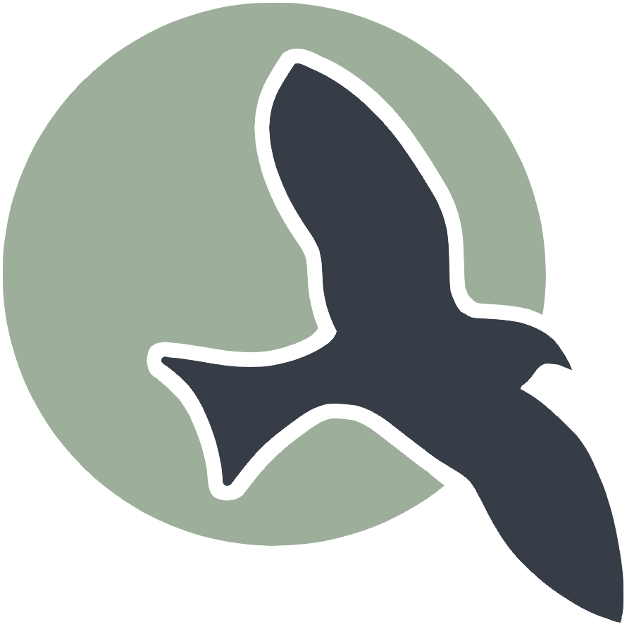 Web Programming Basics CompSci Blogs